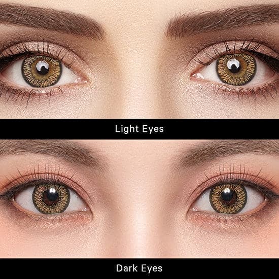 Neo Sunflower Brown - Image 3