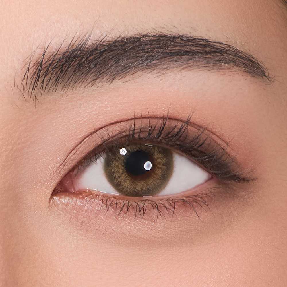 Sunkissed Olive Brown - Image 2